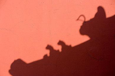 《刀剑神域 碎梦边境》坦克角色艾基尔预告公开